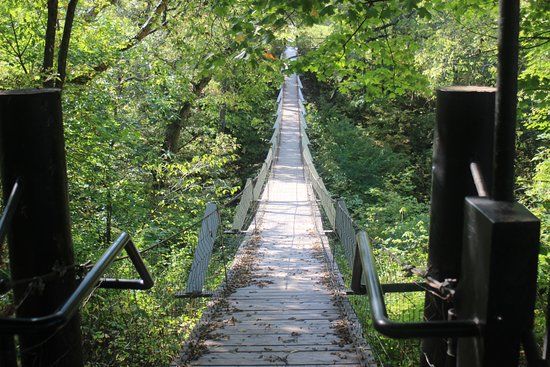 Swinging Bridge
