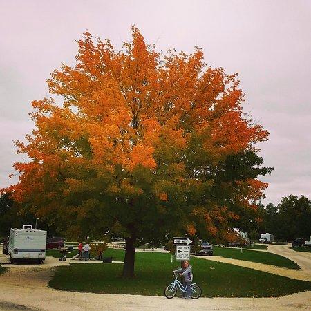 Squaw Creek Park