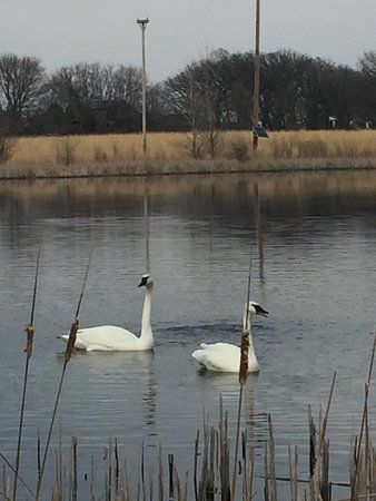 Kenue Park